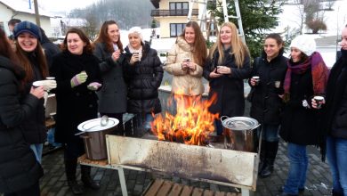 Photo of Okićen bor u Luki