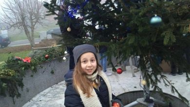 Photo of Okićen bor u Luki