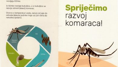 Photo of Obavijest o provođenju tretmana dezinsekcije komaraca